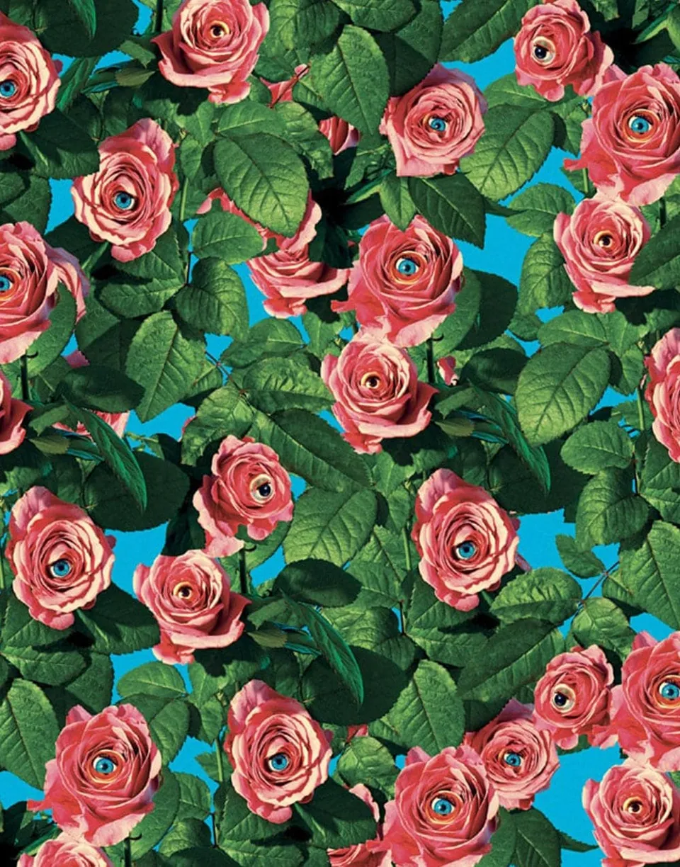 TOILETPAPER Eyes & Roses carta da parati bianca 200x310 cm