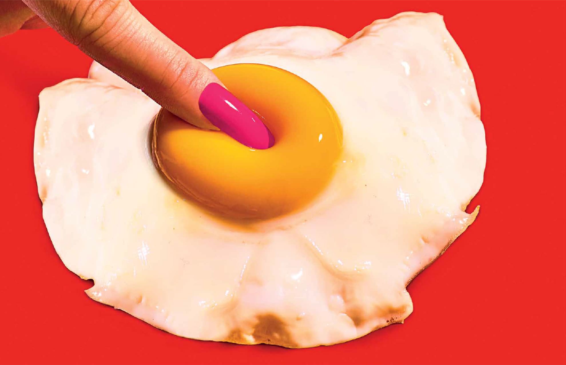TOILETPAPER Magazine N.17 Rivista 40 Pagine