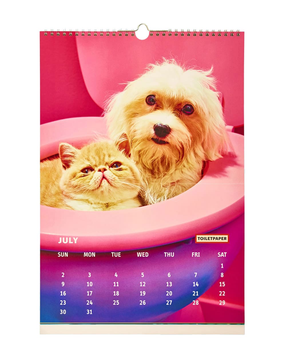 TOILETPAPER Calendar 2017 calendario parete 28x22