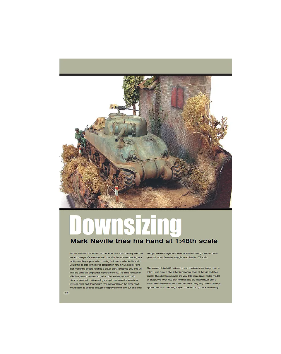 AFV Modeller 35 rivista Downsizing copia singola