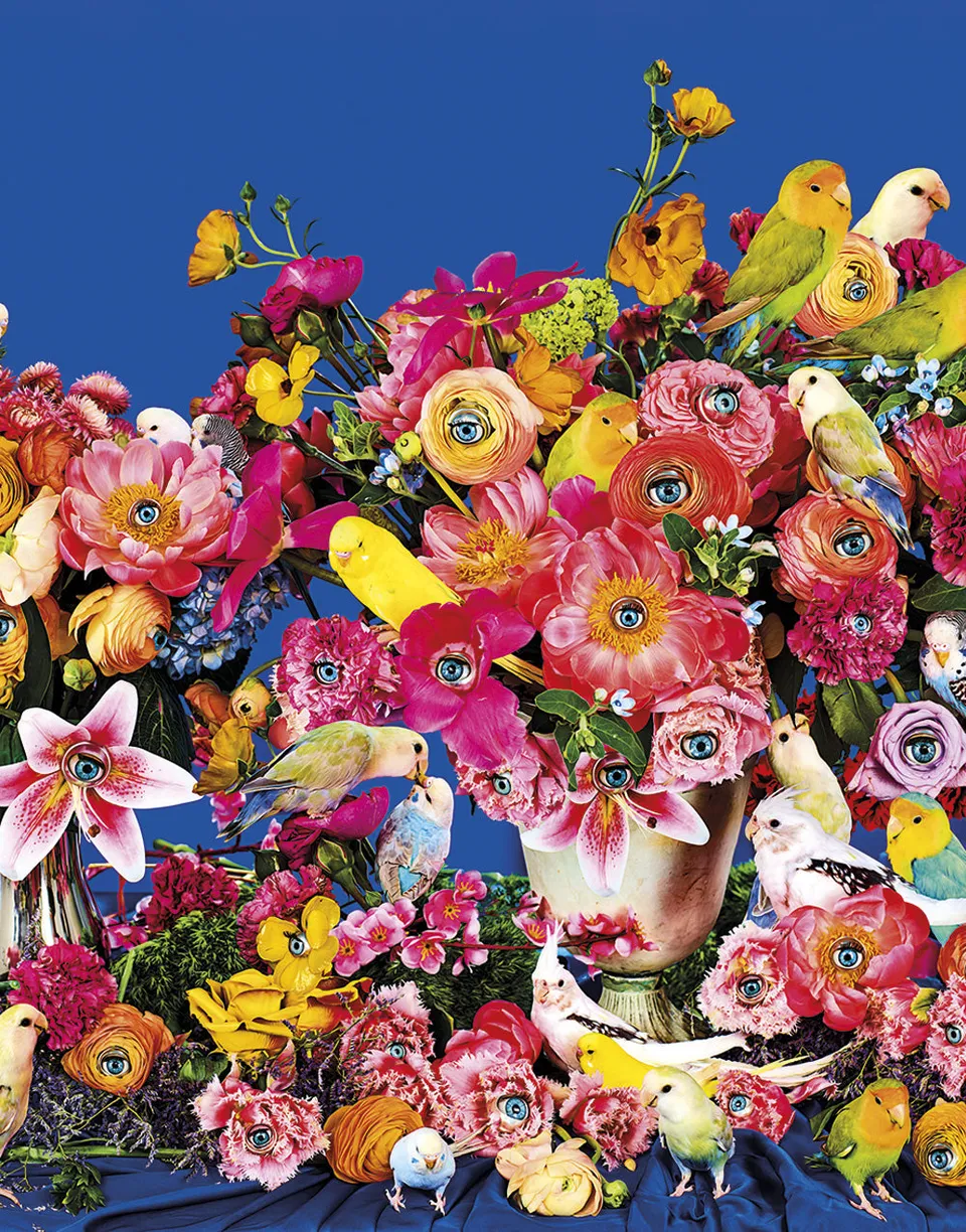 TOILETPAPER Bird Watching carta da parati 200x310 cm