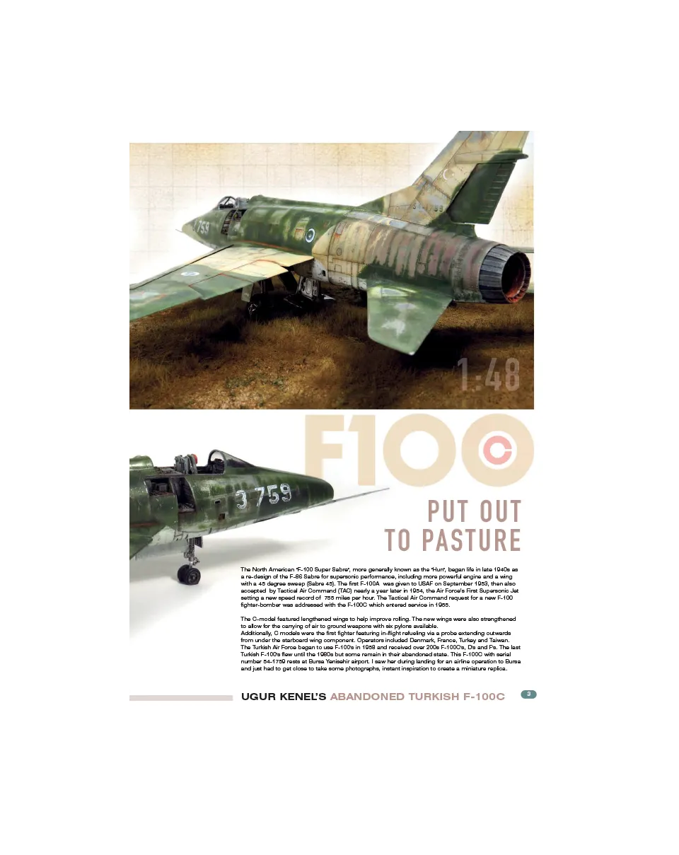 AIR Modeller AIR103 Put out to Pasture articolo PDF aerei
