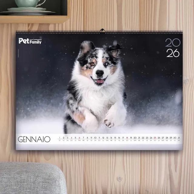 Pet Family Calendario 2026 da parete animali 12 mesi