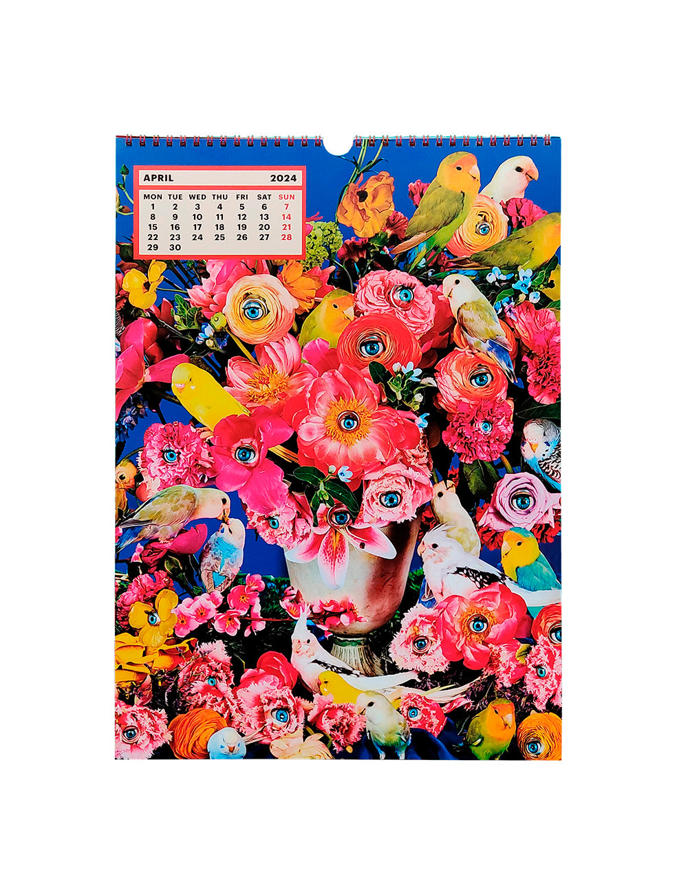 TOILETPAPER Calendar 2024 calendario 28x39 cm immagini