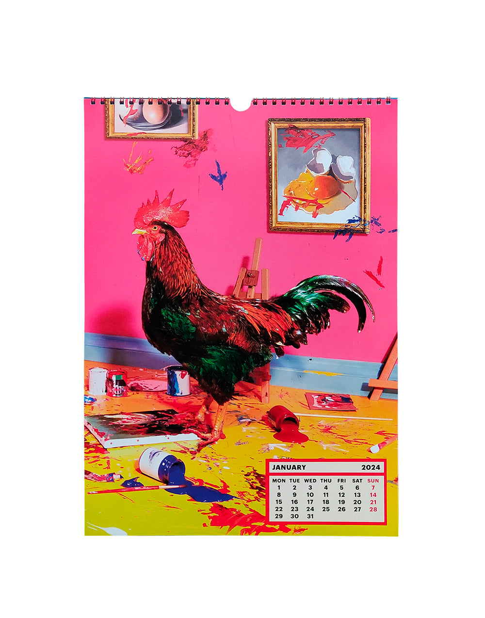 TOILETPAPER Calendar 2024 calendario 28x39 cm immagini
