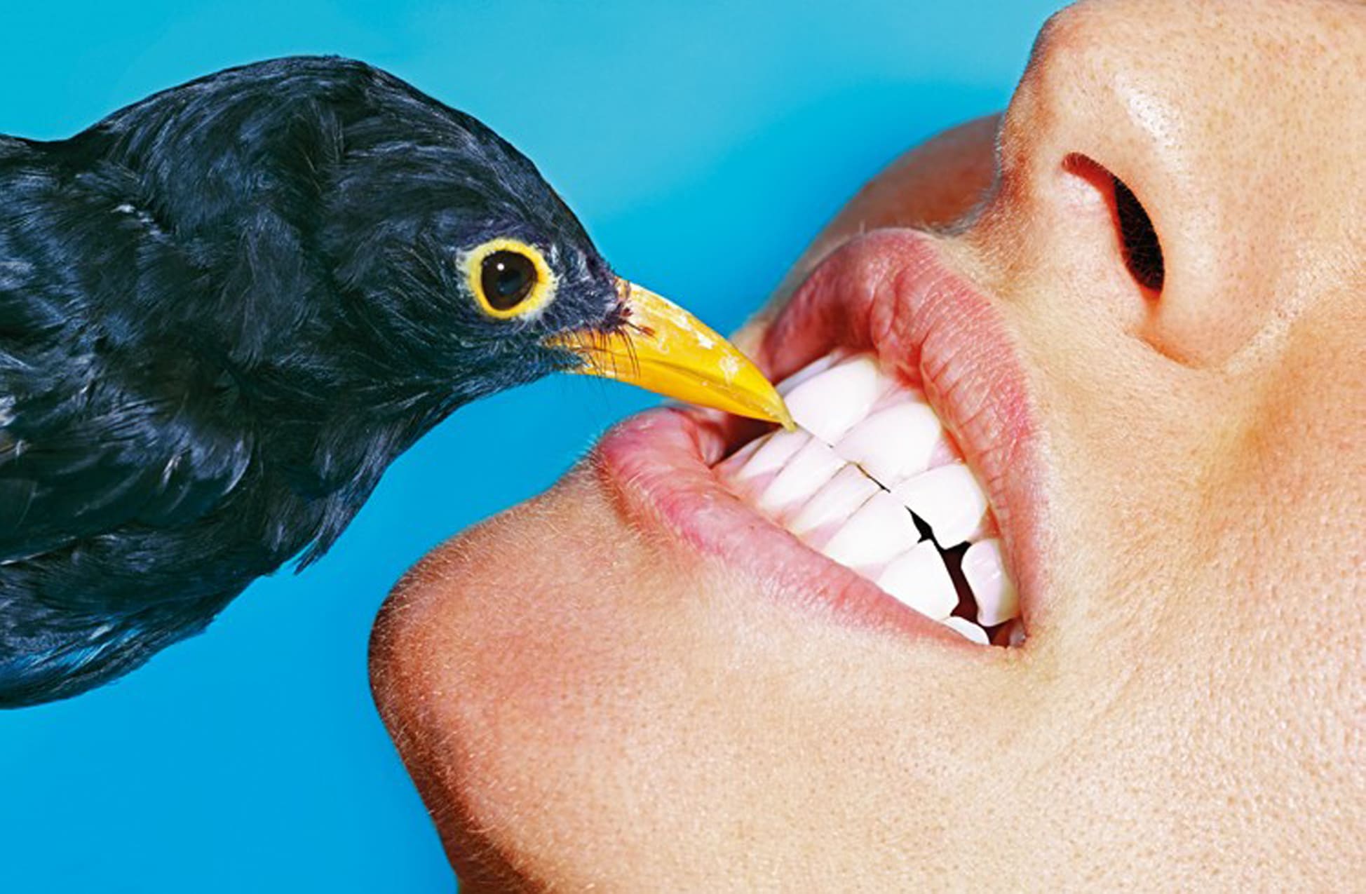 TOILETPAPER Magazine N.8 rivista copia singola arte