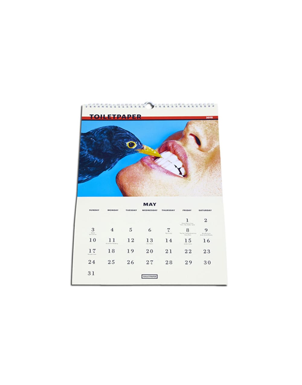 TOILETPAPER Calendar calendario 2015 da parete 28x22 cm