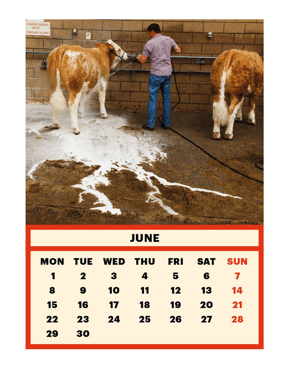 TOILETPAPER Calendar 2020 calendario parete 28x22