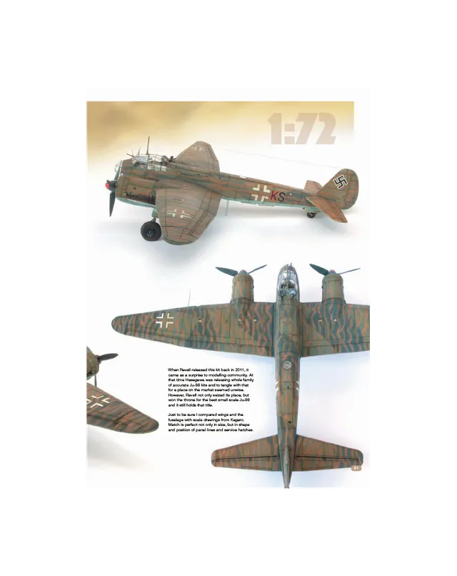 AFV Modeller AIR91 Articolo PDF Special K