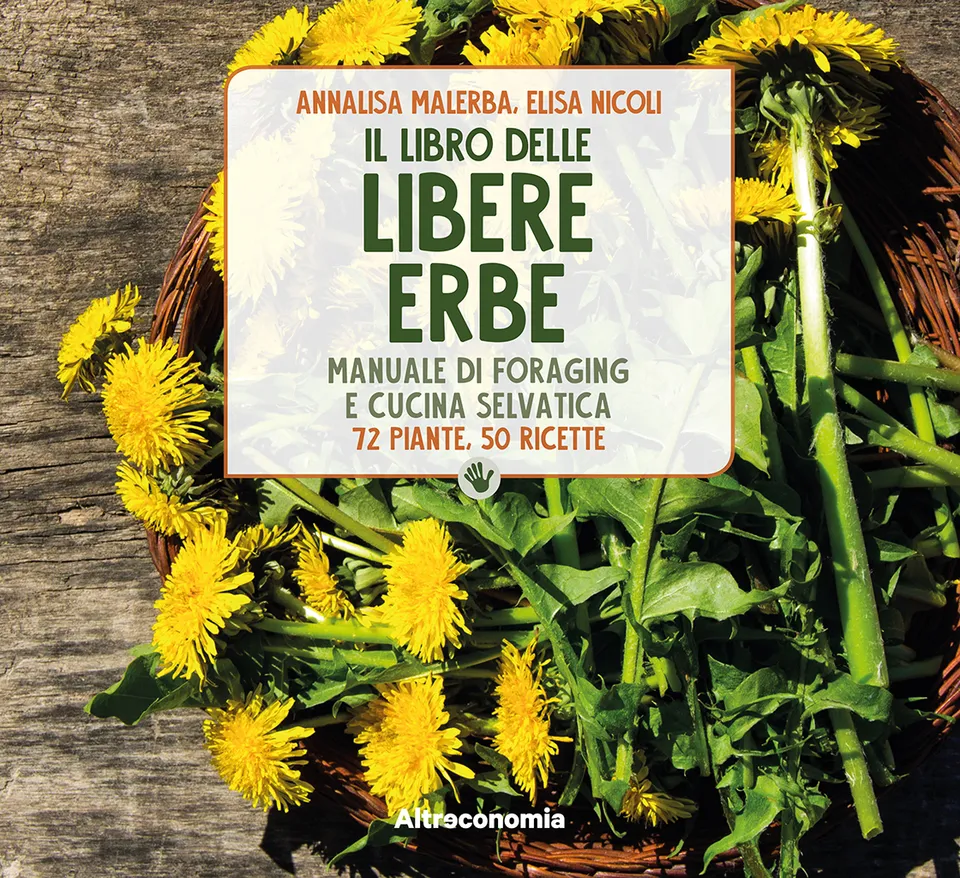 Altreconomia Libro delle libere erbe manuale 72 schede