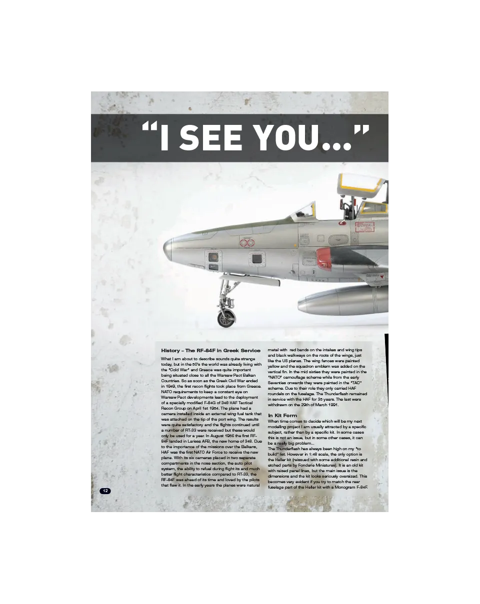 AFV Modeller AIR51 I See You articolo PDF