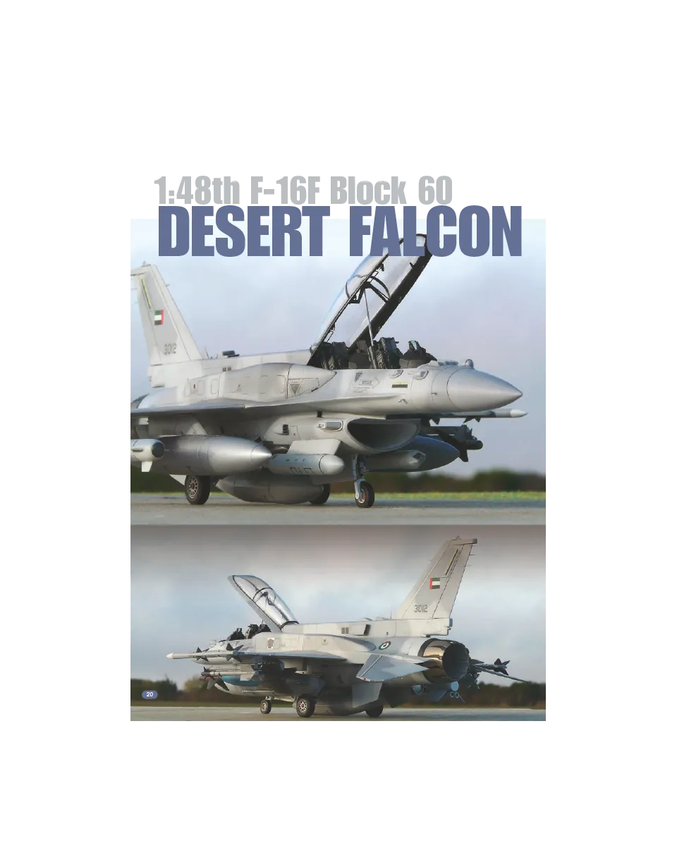 AFV Modeller AIR24 articolo PDF Desert Falcon