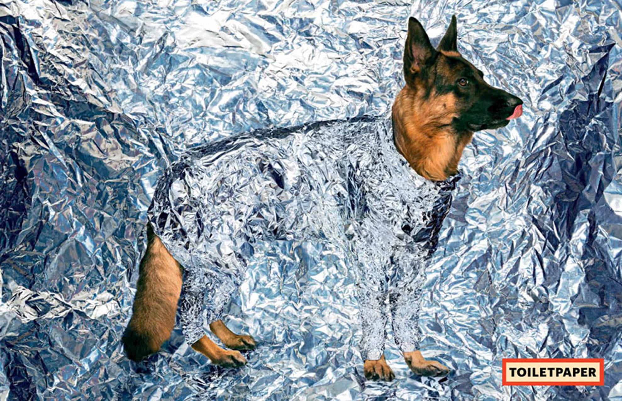 TOILETPAPER Magazine N.11 rivista copia singola da collezione