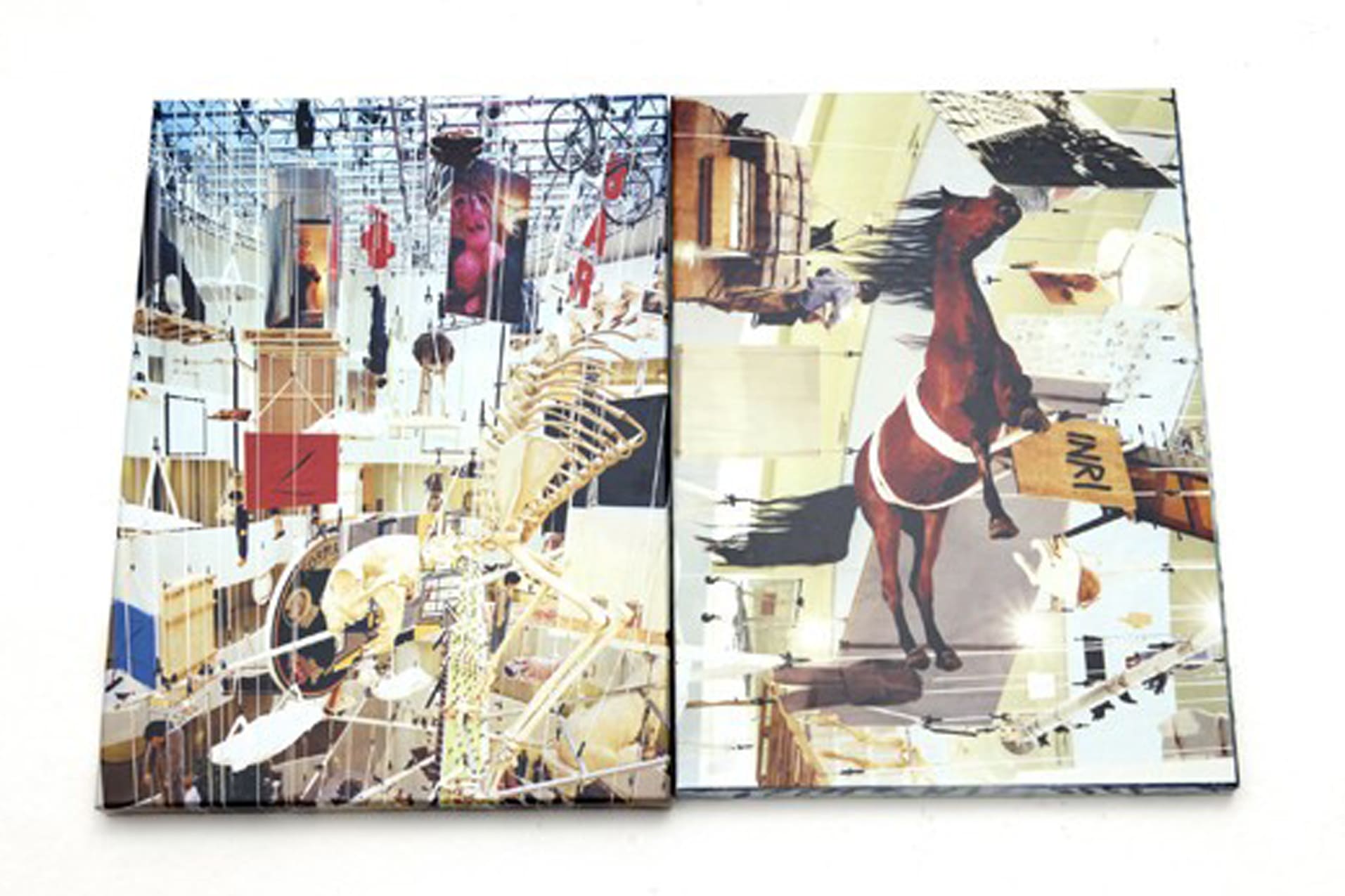 Toiletpaper Maurizio Has Left the Building libro cofanetto