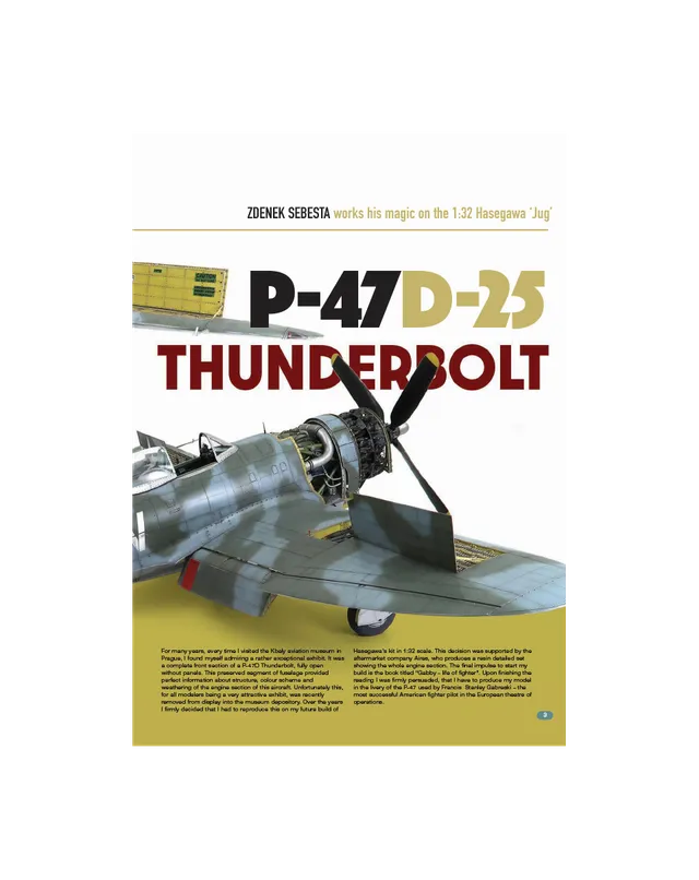 AFV Modeller AIR AIR105 articolo PDF Thunderbolt