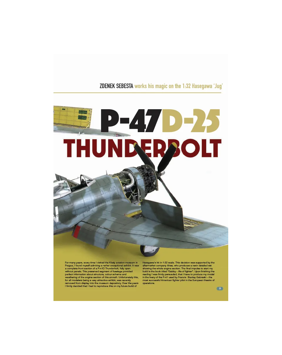 AFV Modeller AIR AIR105 articolo PDF Thunderbolt