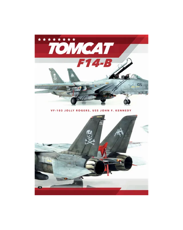AFV Modeller AIR 87 Top Tomcat articolo PDF F-14