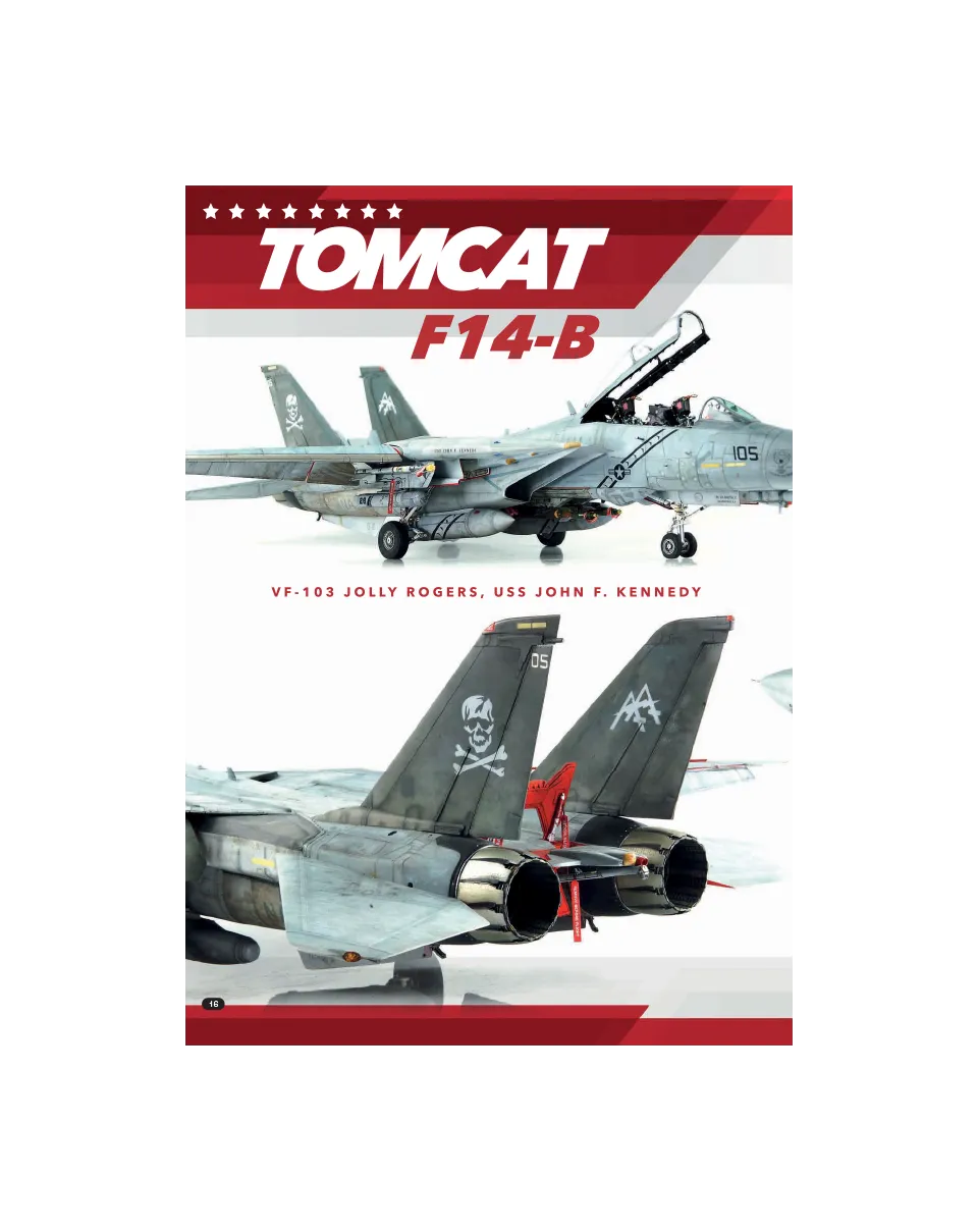 AFV Modeller AIR 87 Top Tomcat articolo PDF F-14