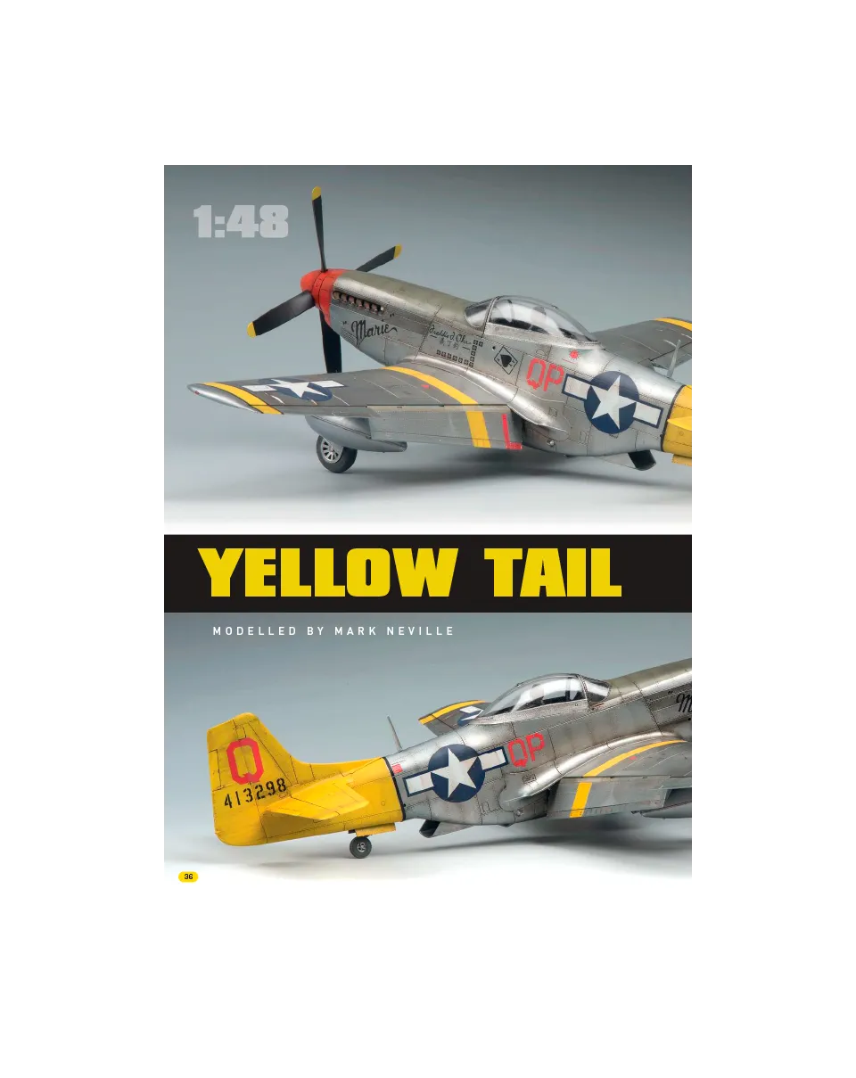 AIR Modeller AIR86 Yellow Tail articolo PDF copia singola