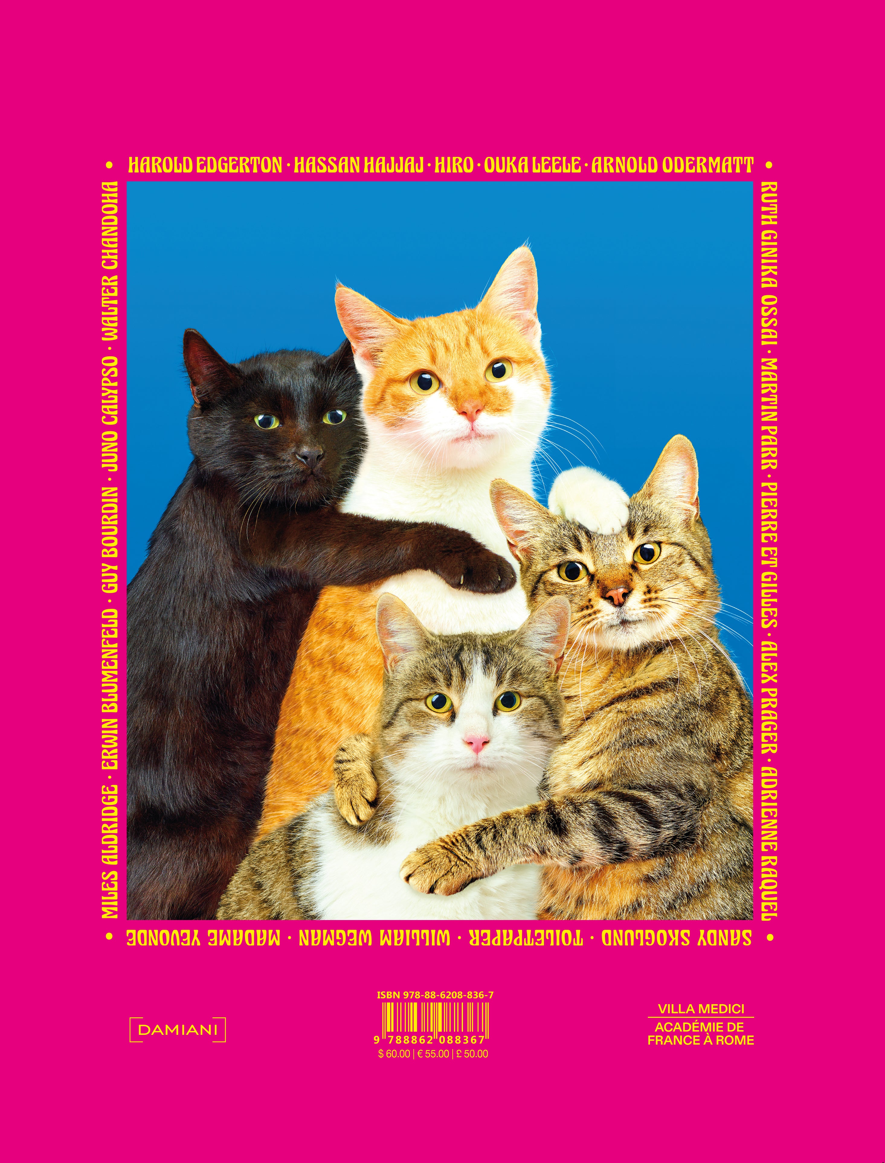 Toiletpaper Chromotherapia libro fotografico colori rigido