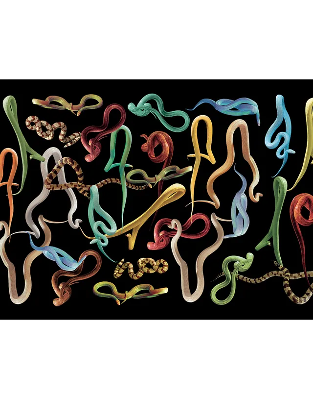 TOILETPAPER Snakes Storm carta da parati Oro 400x310 cm