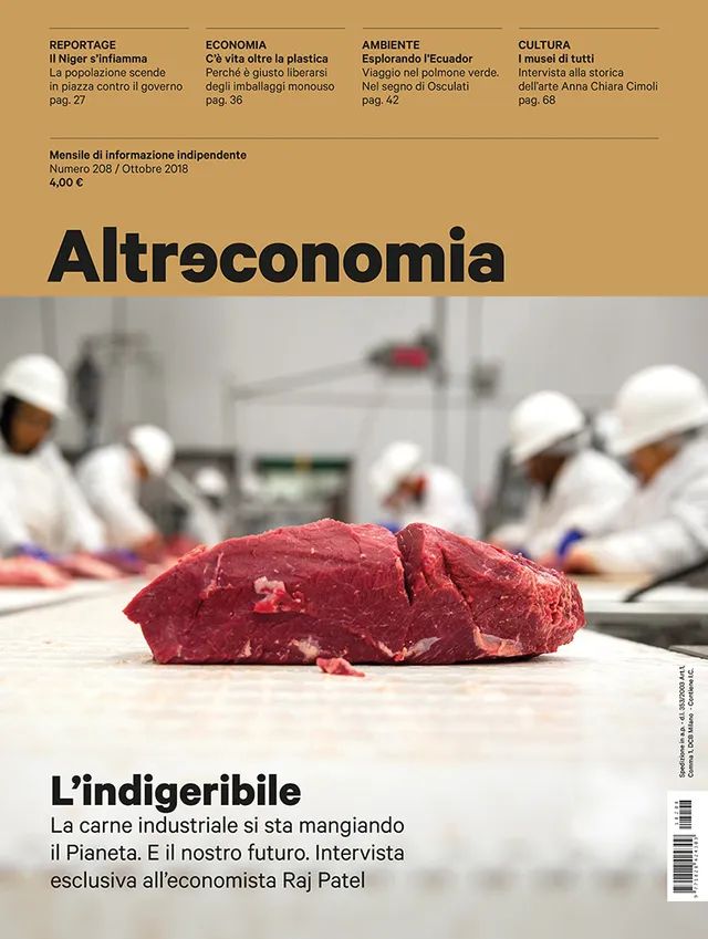 Altreconomia 208 L'indigeribile rivista copia singola carne