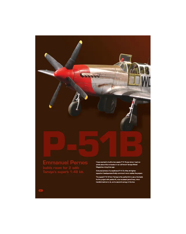 AFV Modeller AIR19 rivista PDF P-51B copia singola
