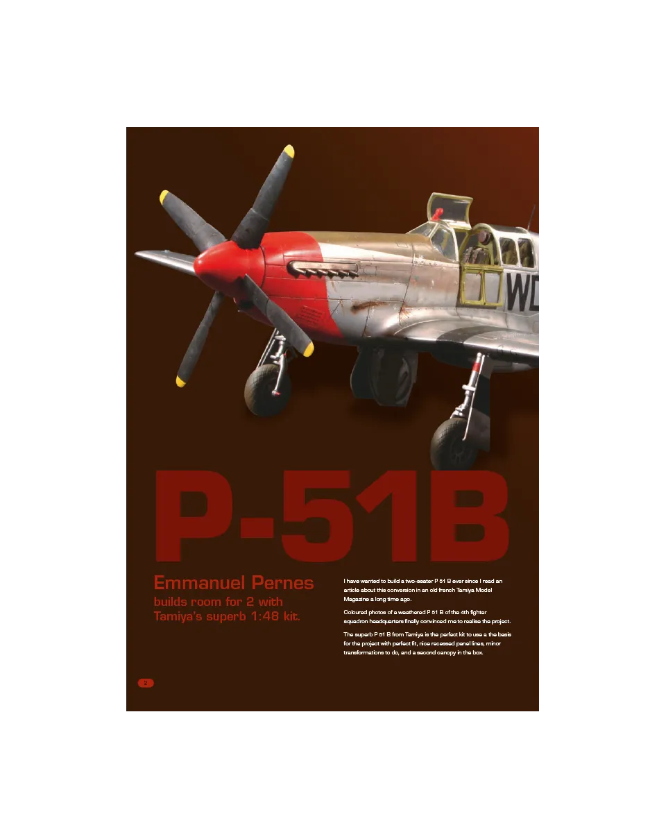 AFV Modeller AIR19 rivista PDF P-51B copia singola