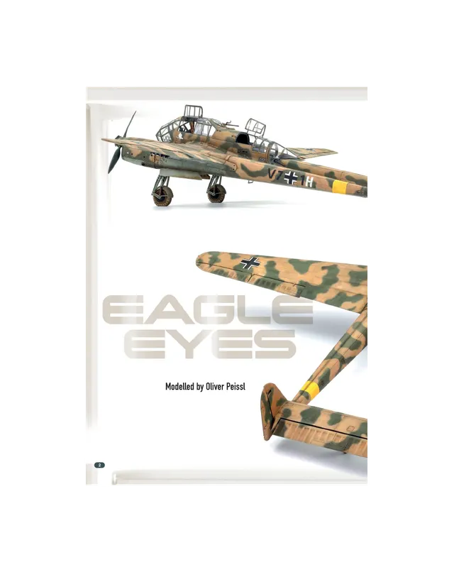 AFV Modeller AIR125 Eagle Eyes Fw 189A-1 articolo PDF