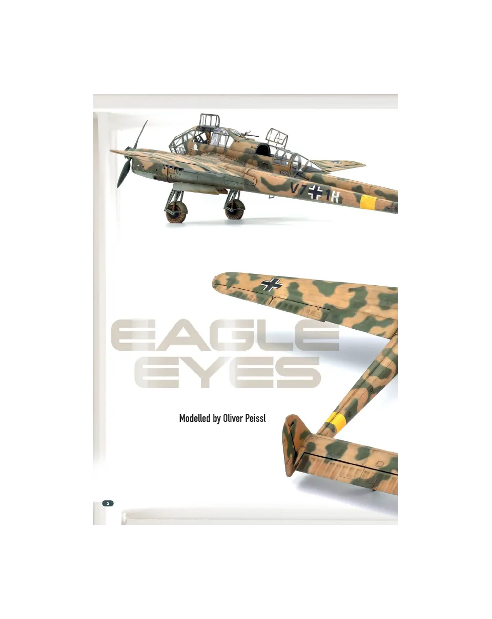 AFV Modeller AIR125 Eagle Eyes Fw 189A-1 articolo PDF