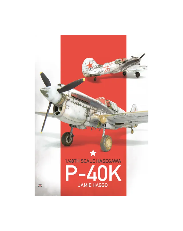 AFV Modeller AIR 39 articolo PDF P-40K caccia