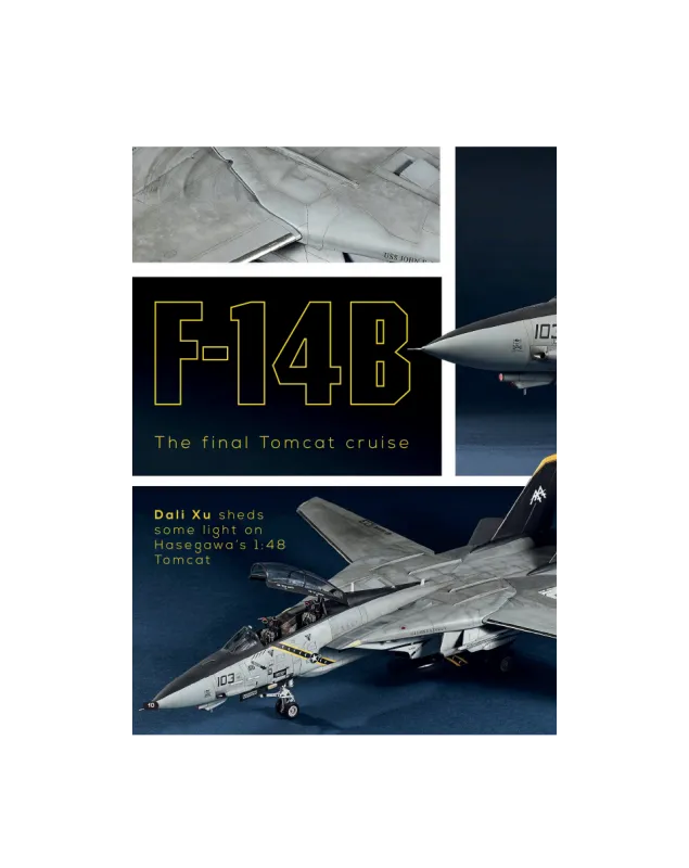 AFV Modeller AIR83 articolo PDF F-14B Final Tomcat Cruise aerei