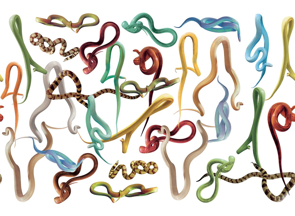 TOILETPAPER Snakes Storm carta da parati Oro 400x310 cm