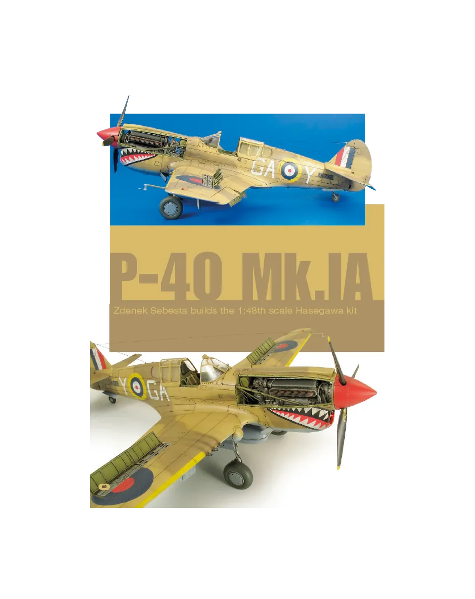 AFV Modeller AIR29 articolo PDF P-40 Mk.IA caccia