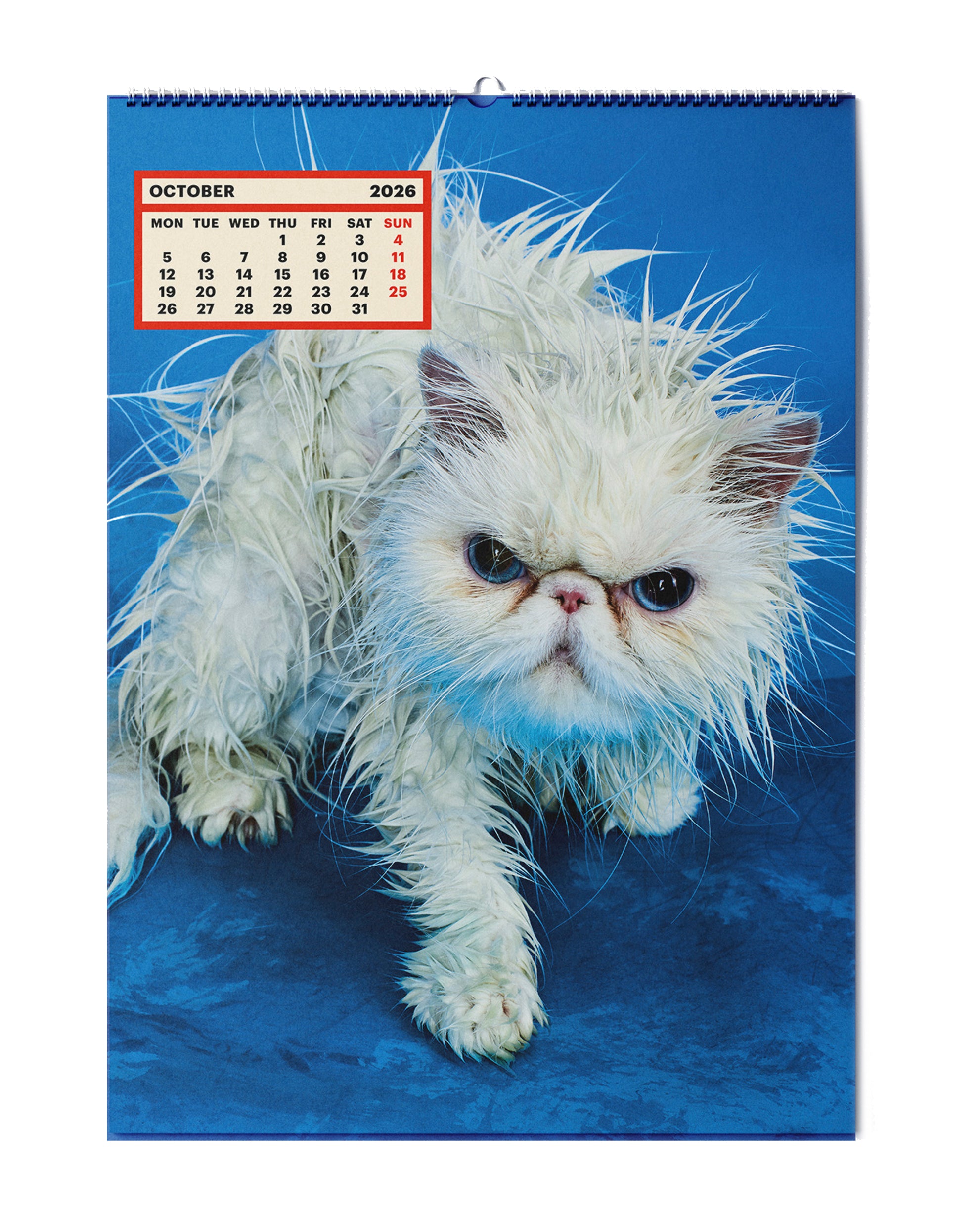 TOILETPAPER Calendar 2026 calendario gatti 28x39cm