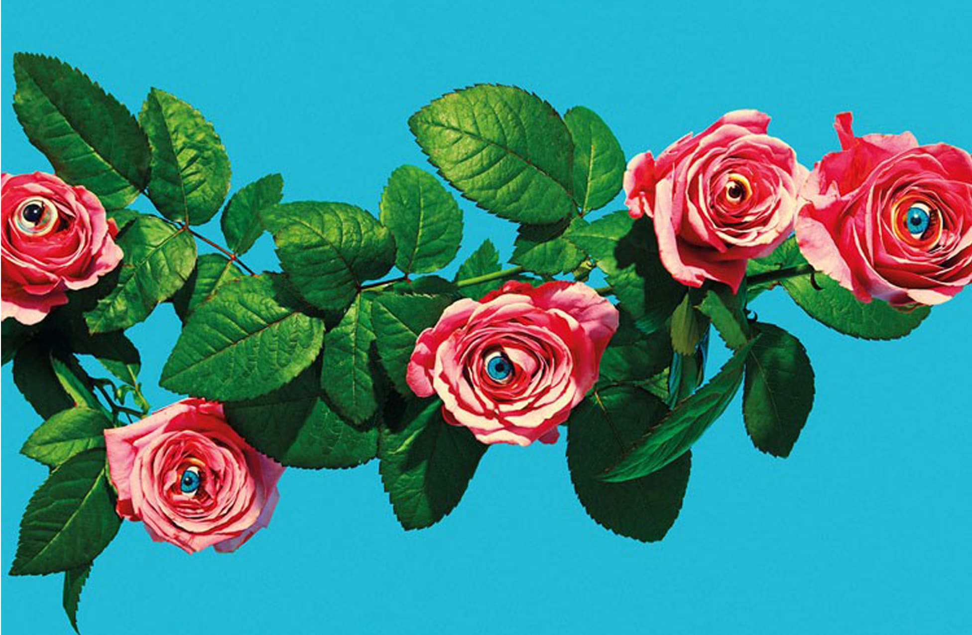 TOILETPAPER Magazine N.9 rivista copia singola illustrata