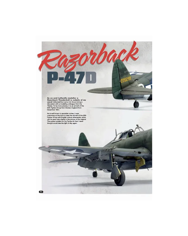 AFV Modeller AIR 119 articolo PDF Razorback copia singola