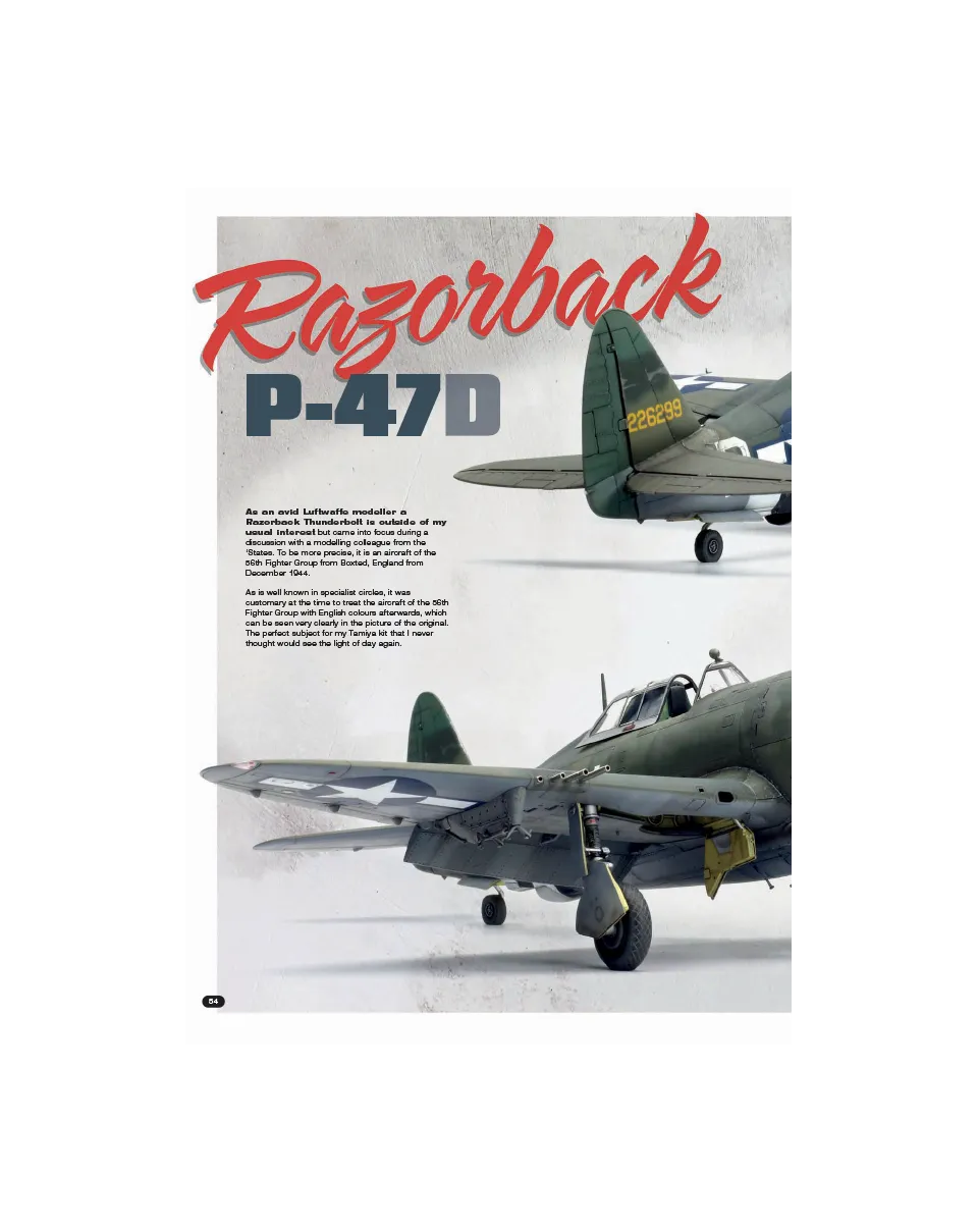 AFV Modeller AIR 119 articolo PDF Razorback copia singola