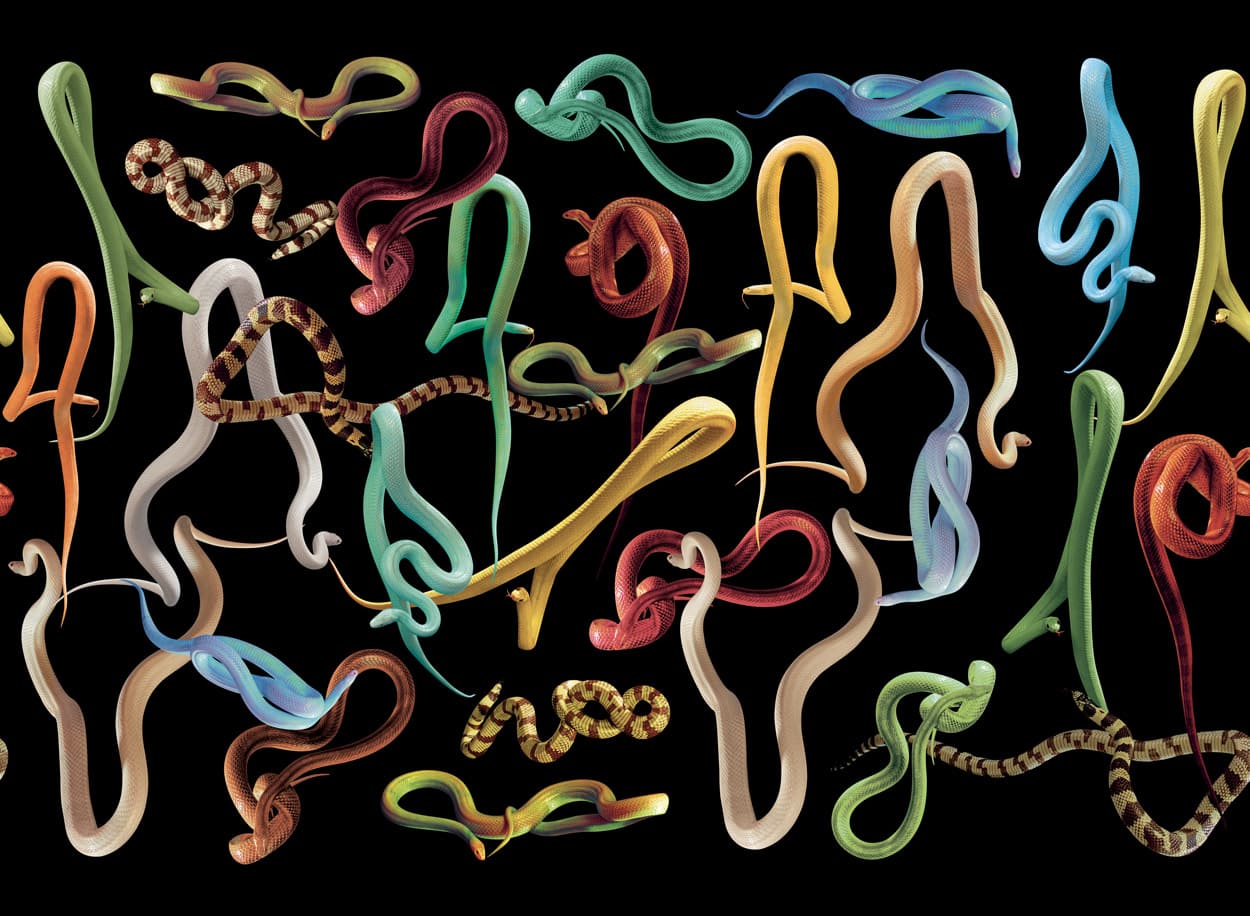 TOILETPAPER Snakes Storm carta da parati Oro 400x310 cm