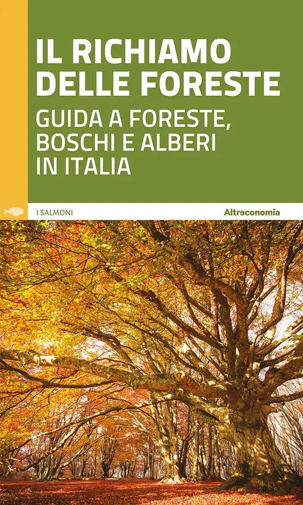 Altreconomia Il richiamo delle foreste guida 38 foreste 100 itinerari