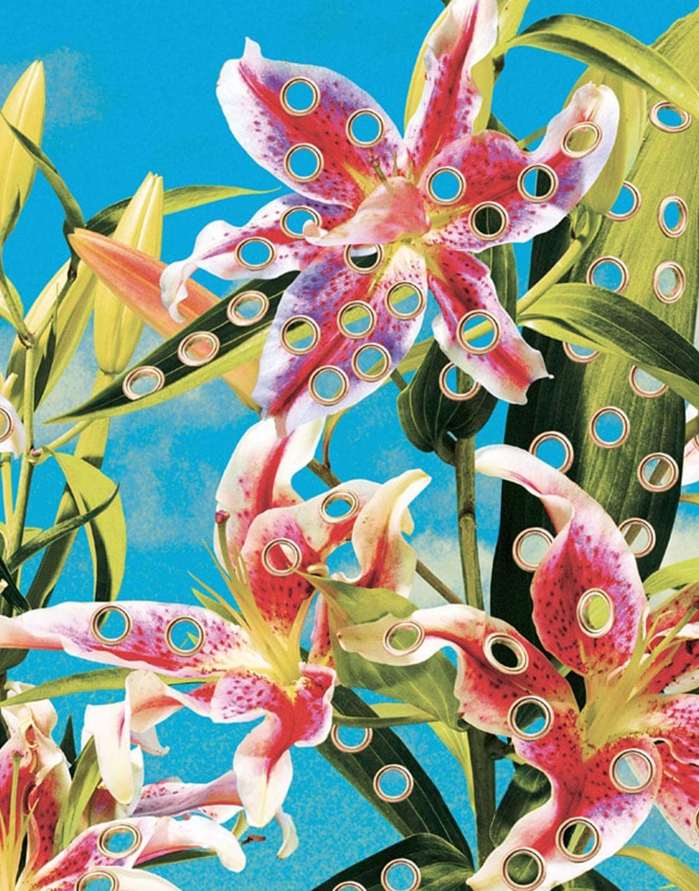 TOILETPAPER Wallpaper HOLES OF PARADISE carta parati Oro 400x310