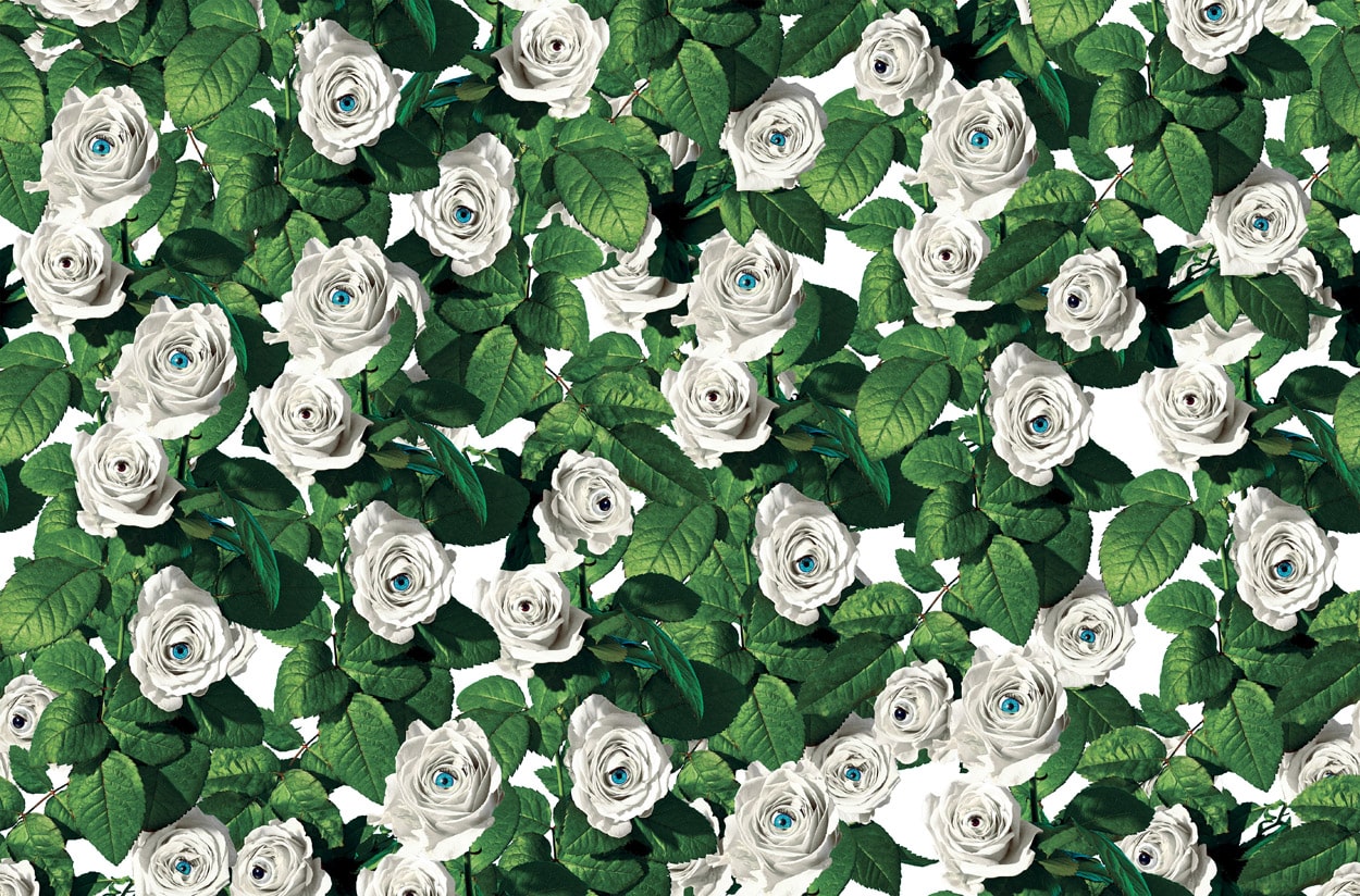 TOILETPAPER Eyes & Roses carta da parati bianca 200x310 cm