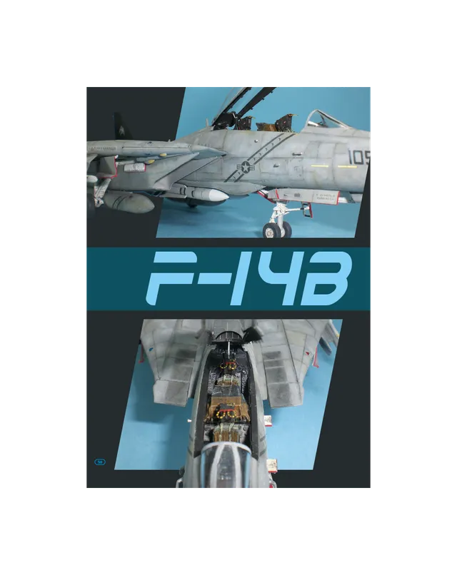 AFV Modeller AIR44 Hasegawa F-14B Tomcat articolo PDF 1:72
