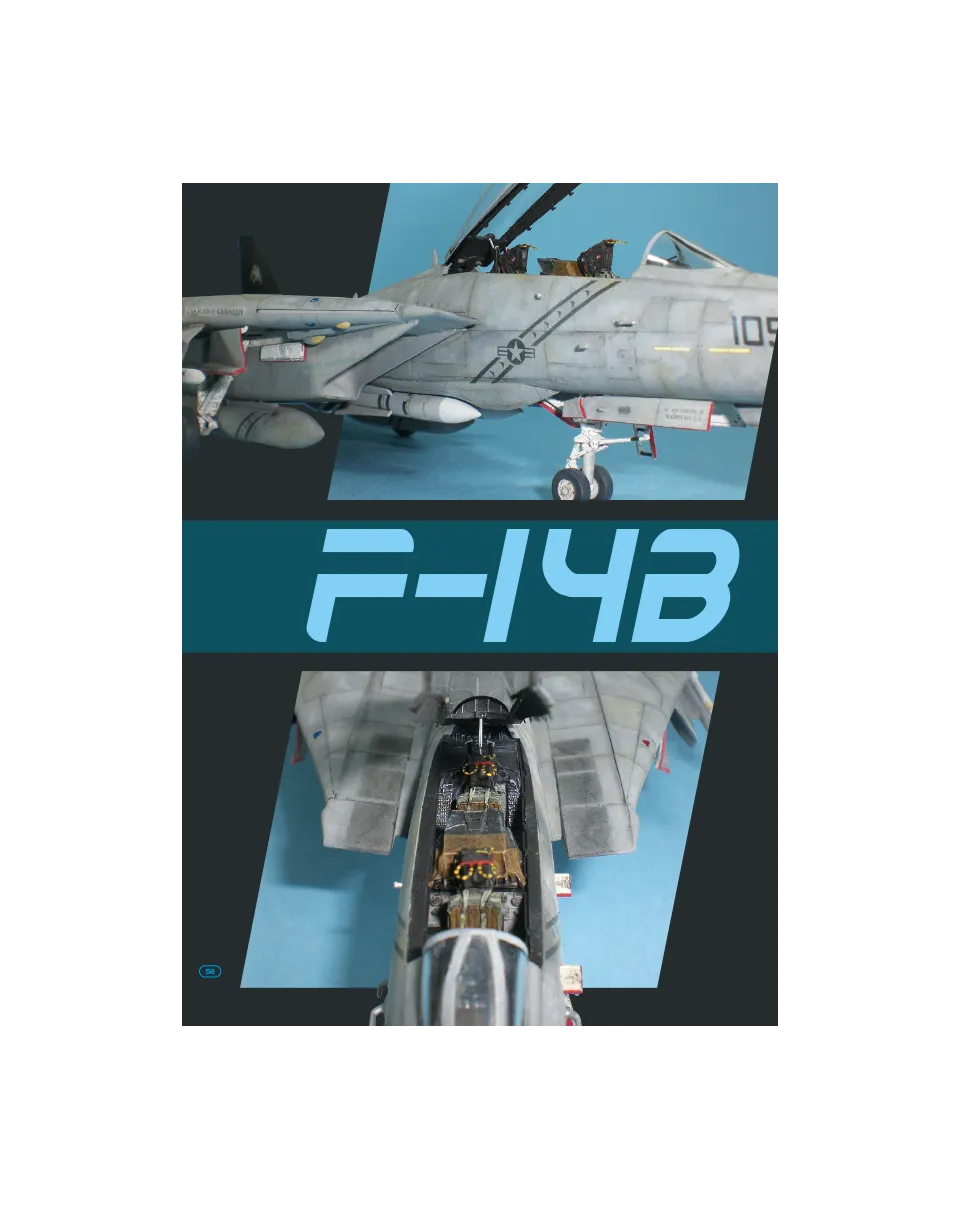 AFV Modeller AIR44 Hasegawa F-14B Tomcat articolo PDF 1:72