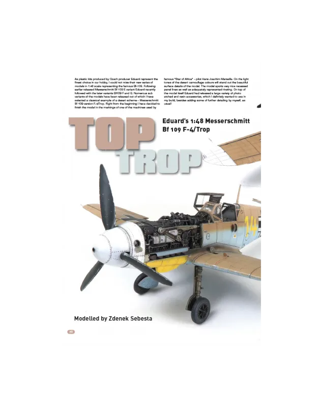 AIR Modeller AIR80 articolo PDF Top Trop