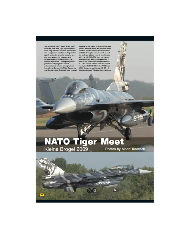 AFV Modeller AIR28 NATO Tiger Meet articolo PDF jet