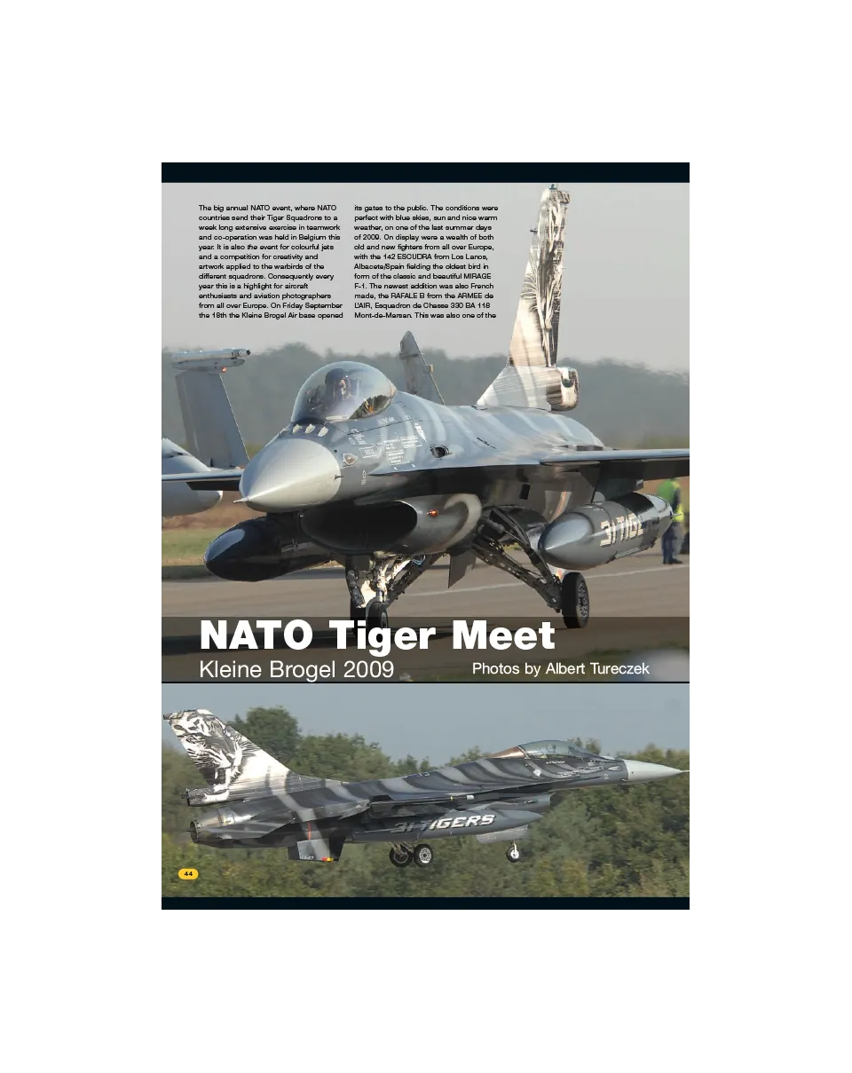 AFV Modeller AIR28 NATO Tiger Meet articolo PDF jet