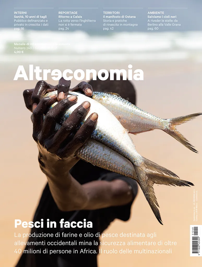 Altreconomia 240 Pesci in faccia rivista numero singolo