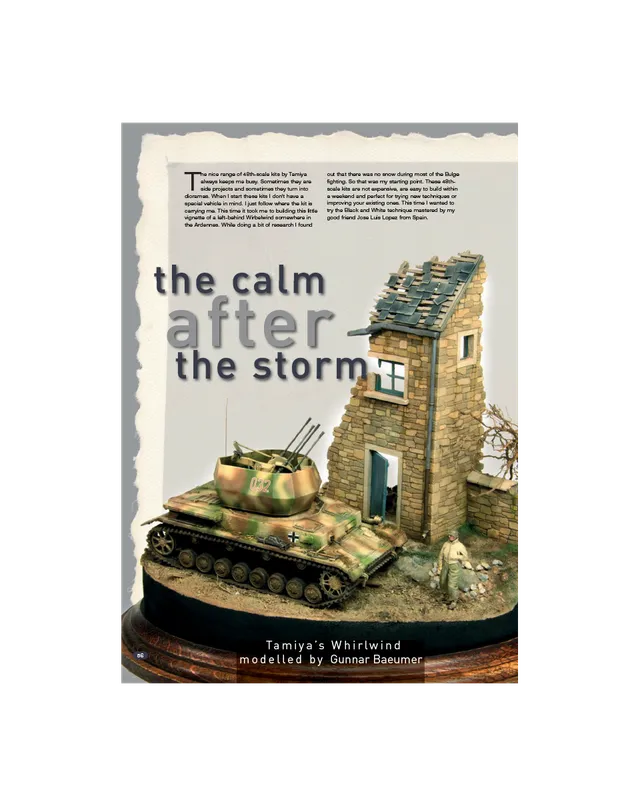 AFV Modeller AFV91 Calm After Storm rivista PDF singola