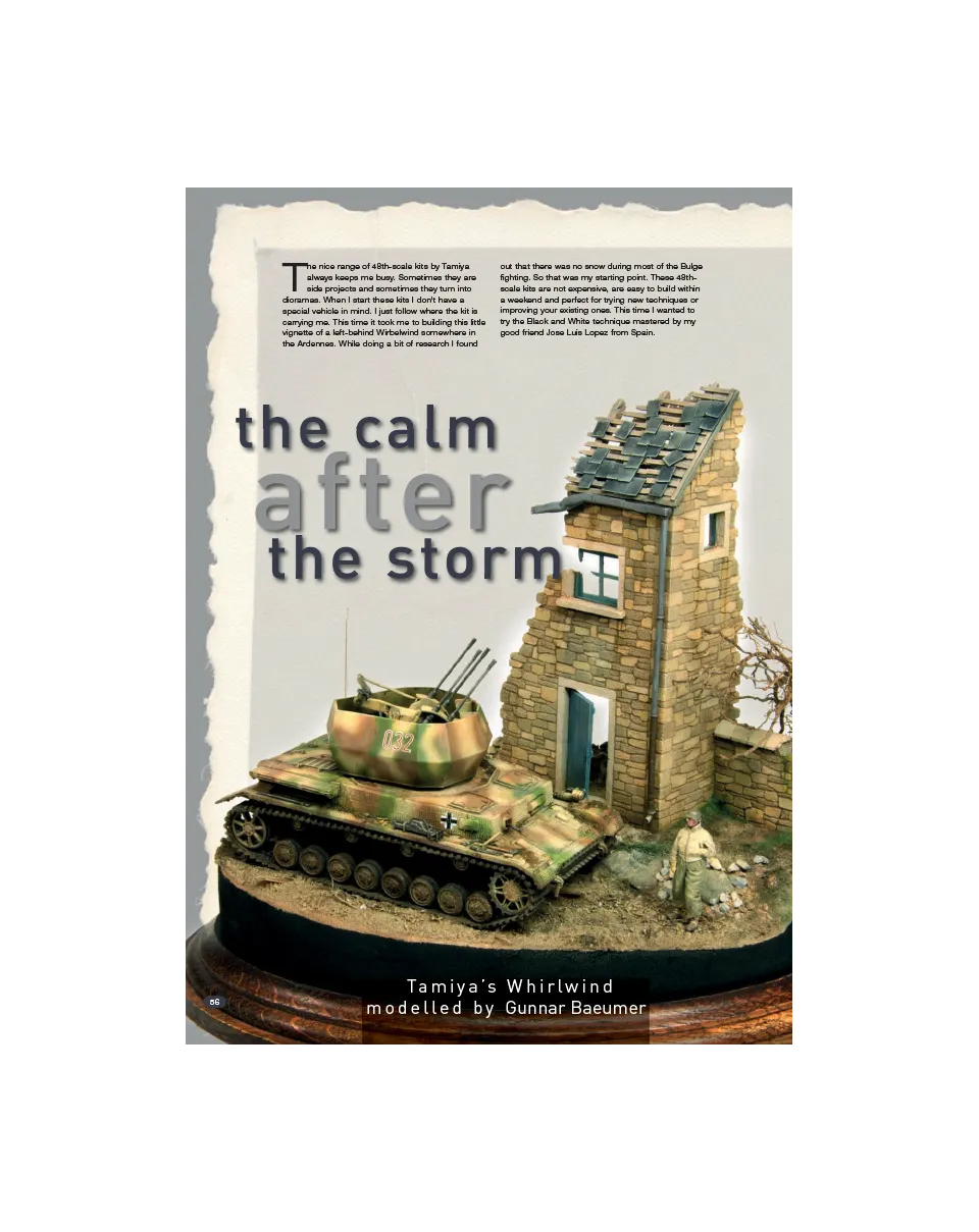 AFV Modeller AFV91 Calm After Storm rivista PDF singola